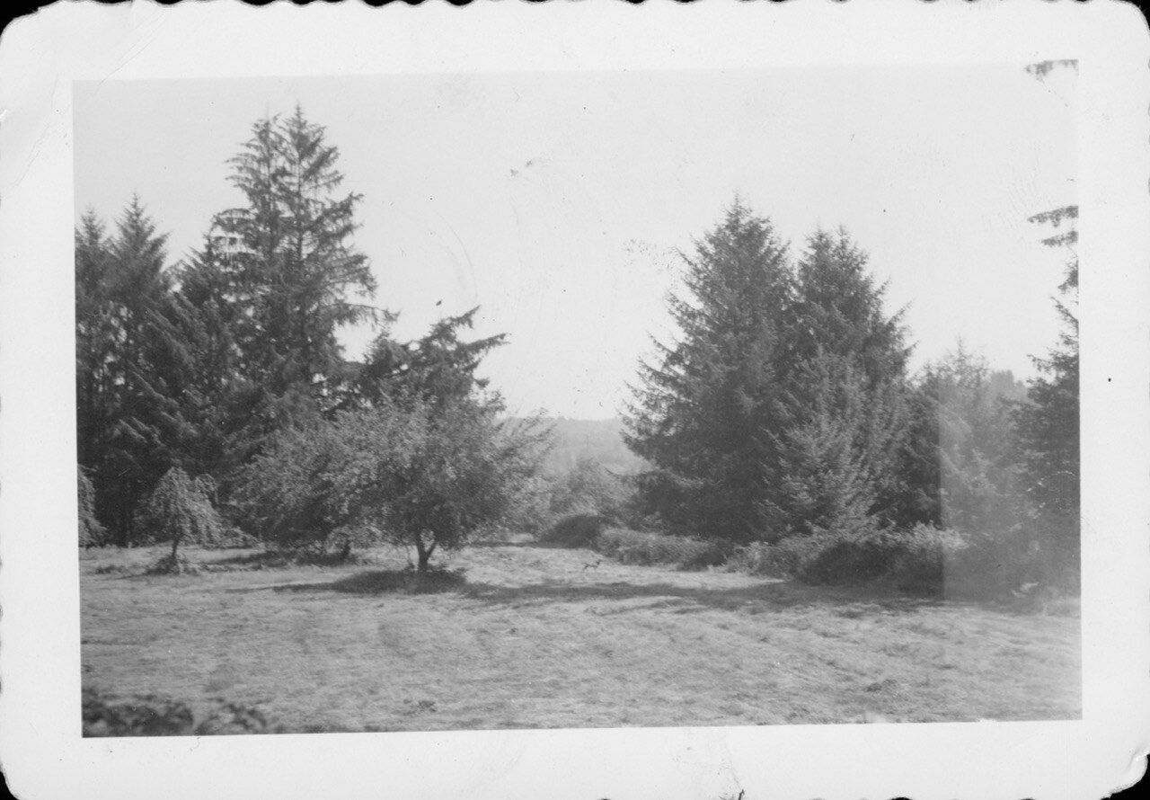 Garhart Orchard (Johnson Place) - historic photograph