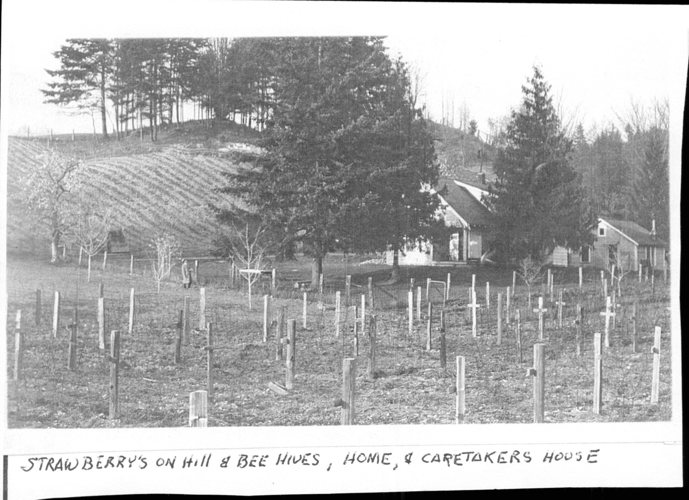 Manch N. Garhart Family Summer House - historic photograph