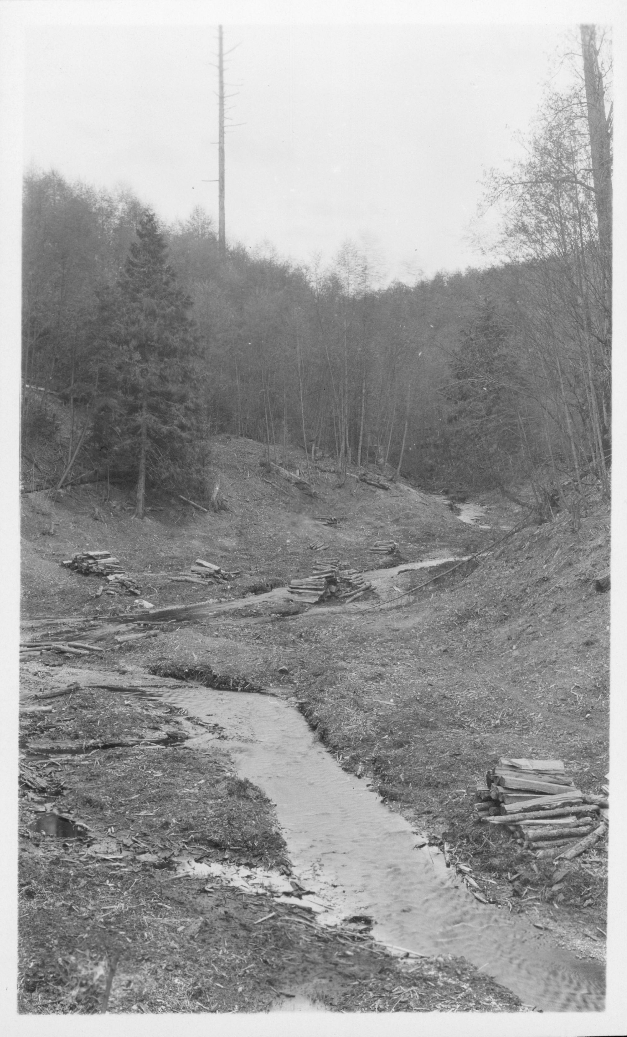 Penny Creek before the dam was constructed