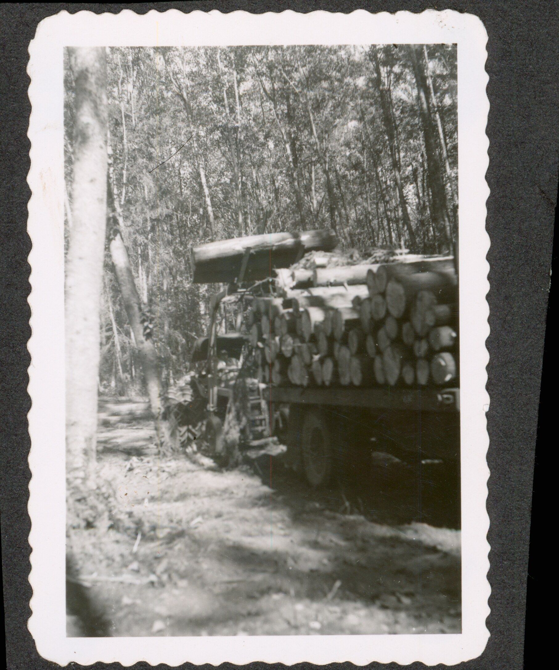 William N. Garhart Sr. Greenbelt - historic photograph