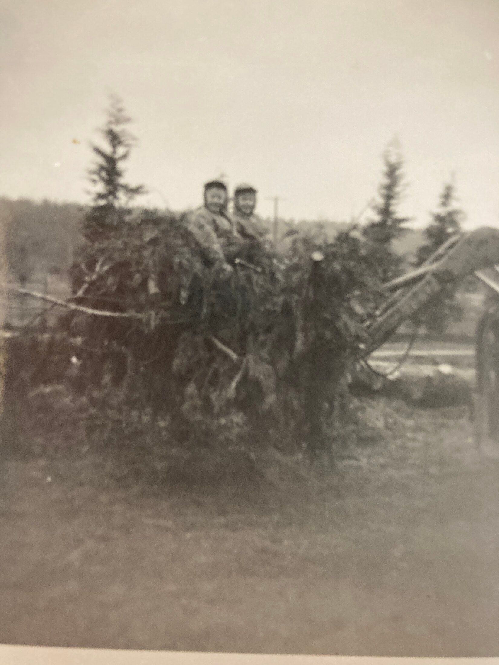 Garhart Orchard (Johnson Place) - historic photograph