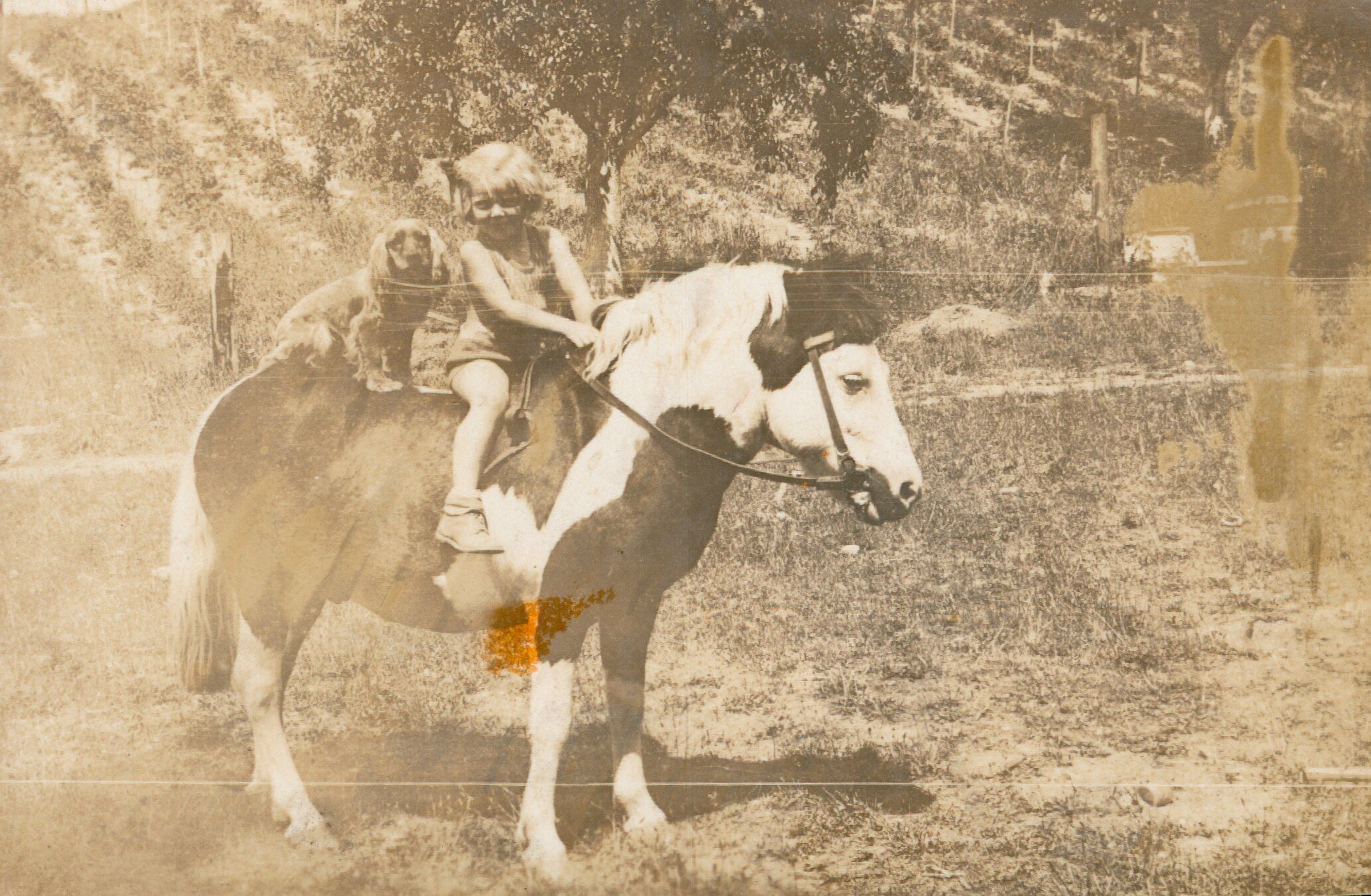 Manch N. Garhart Family Summer House - historic photograph