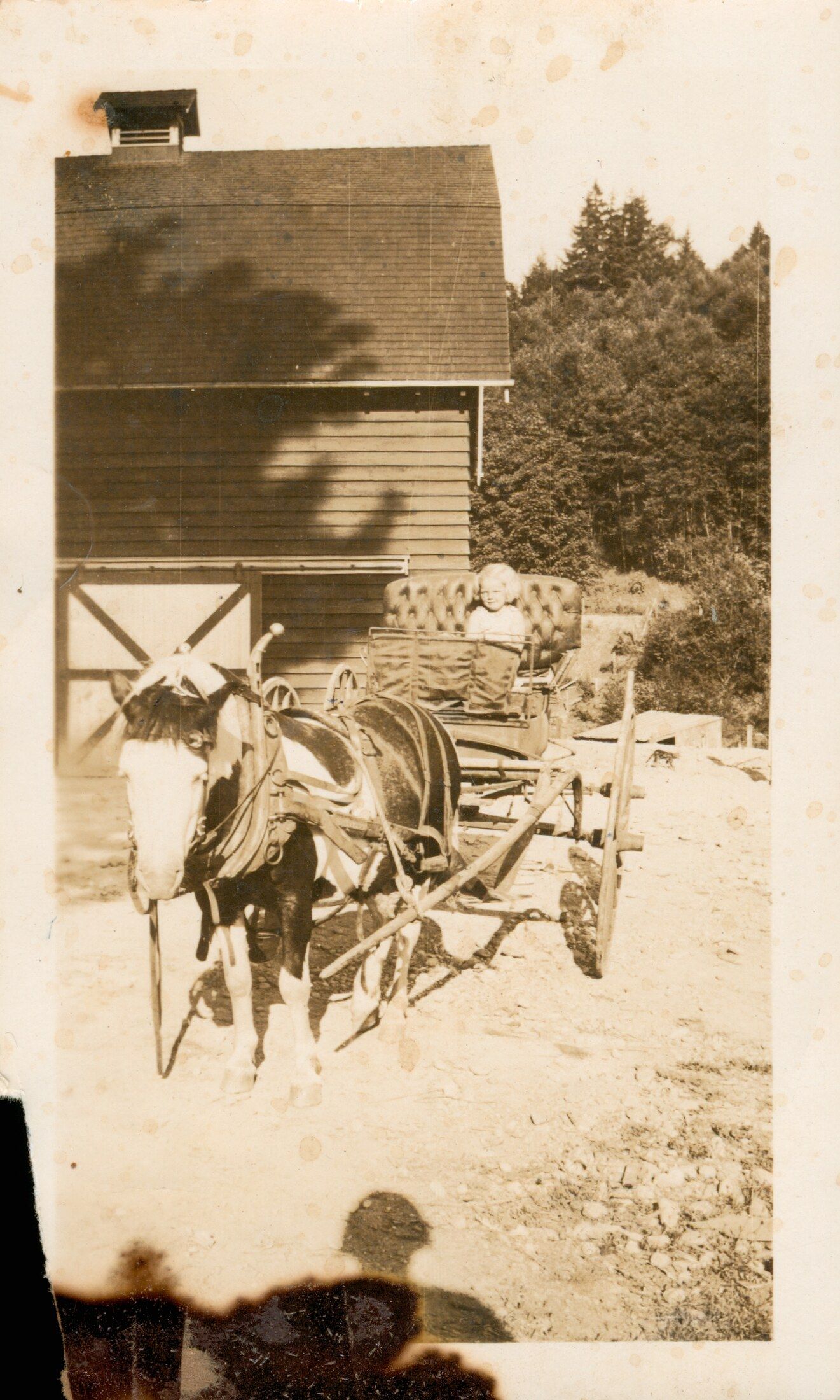 Manch N. Garhart Family Summer House - historic photograph