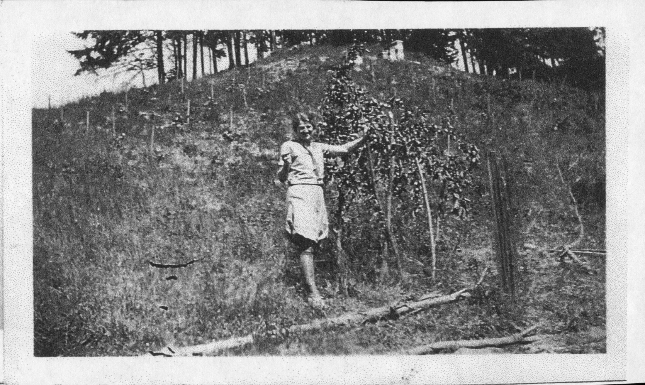Manch N. Garhart Family Summer House - historic photograph